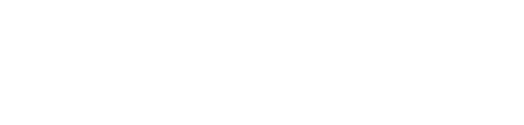 TheSaleroom Logo