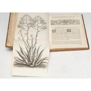 Natural History, Botany & the Enlightenment - Bradley (Richard, Late Fellow of the Royal Society), The History of Succulent Plants