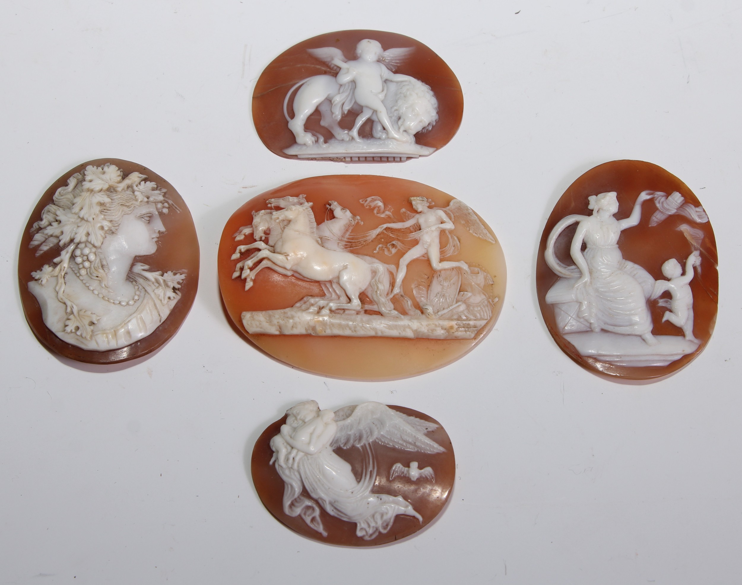 A 19th century shell cameo, carved in the Classical taste with a chariot horses, celestial driver and triumphal regalia, 6cm x 5cm, c.1880; another, carved with a putto and a lion; another, Bacchic Maenad; others (5)