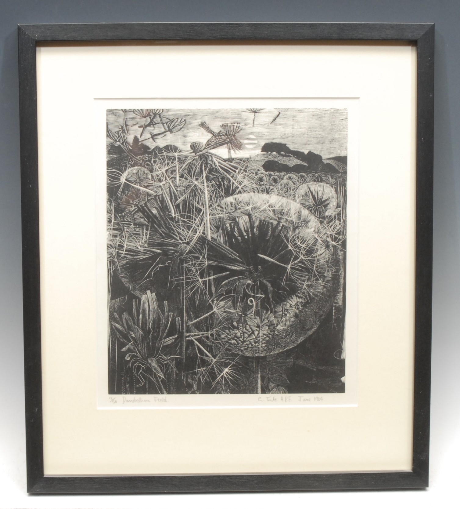 George Tute RE (b. 1945-)  Dandelion Field  signed, titled, 12/50, dated 1964, wood engraving, 26cm x 22cm