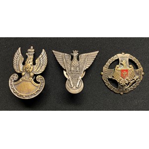 WW2 Free Polish Army Cap Badge with screwback fitting: Polish Army Tobruk Breast Badge for the Independant Carpathian Rifle Brigade with screwback fitting, unissued not numbered, no makers marks, but marked for .800 silver: Polish Army Styr-Horyń-Słucz Memorial badge 1919, threaded post and one sword missing. (3)