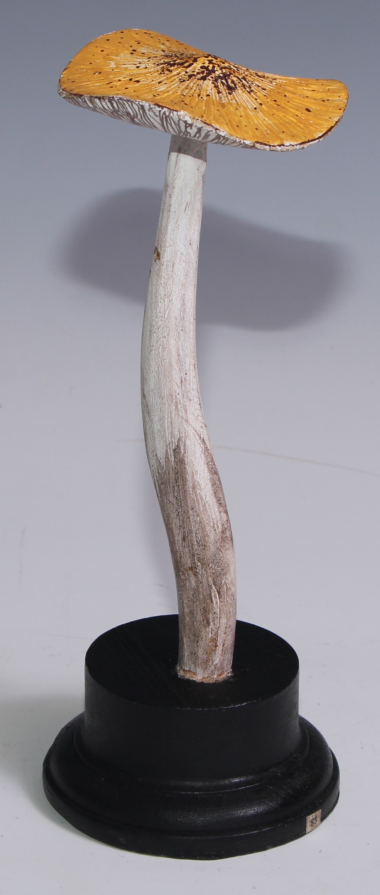 Natural History - Mycology - a painted model of fungus specimen, mounted for display, 22.5cm high