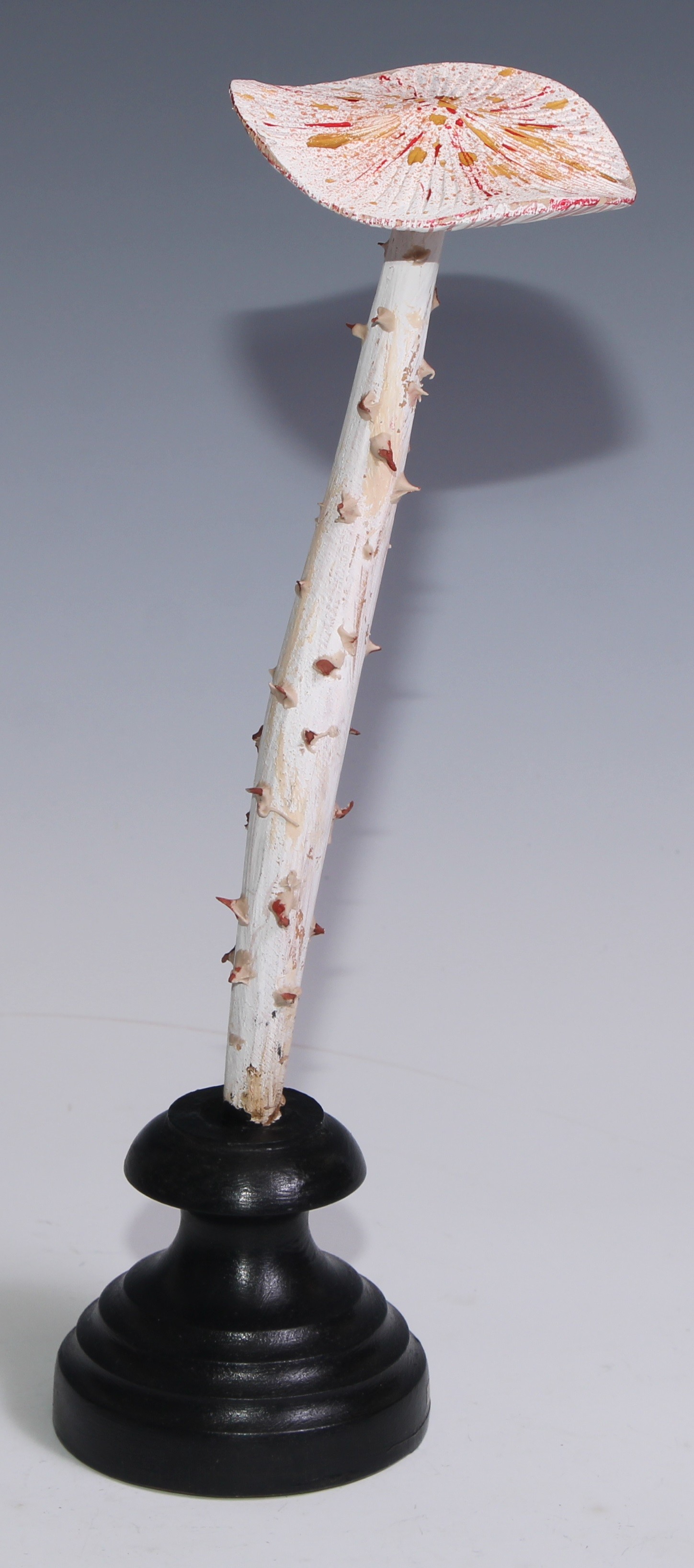 Natural History - Mycology - a painted model of fungus specimen, mounted for display, 28.5cm high