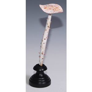 Natural History - Mycology - a painted model of fungus specimen, mounted for display, 28.5cm high