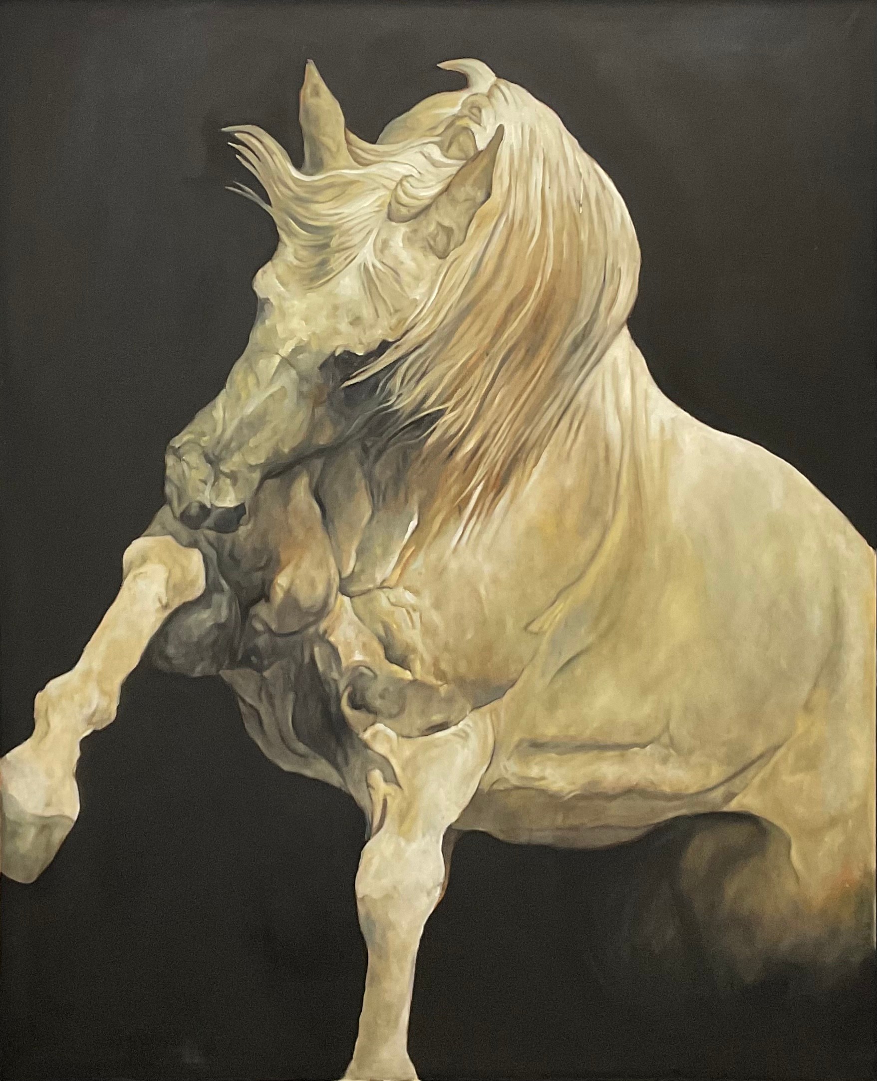 Huw Williams - The Horse Painter (contemporary) Grey Stallion signed, oil on canvas, 150cm x 120cm