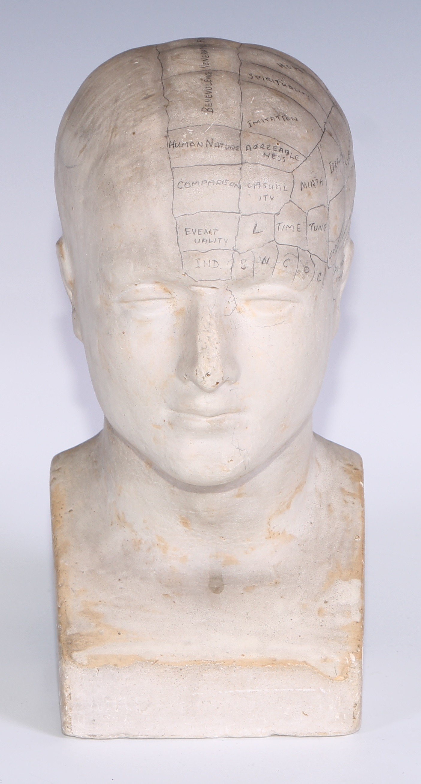 Medical Interest - a 19th century plaster phrenology bust, by Ambrose Lewis Vago (1839-96), the contours in relief and annotated in pencil, impressed Modelled by A L Vago, 114 Gray's Inn Rd, London, 21cm high