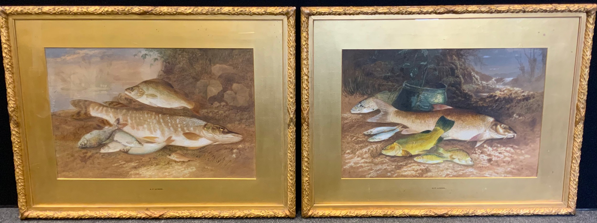 Alexander Francis Lydon (1836-1917)  A Pair, Pike and other Fish signed, watercolour, 48cm x 70cm  Provenance - Hung from new in the breakfast room and purchased from Minton's the porcelain people former home in Torquay built for them in 1814. Lydon exhibited at the Royal Academy of Arts exhibition London 1861
