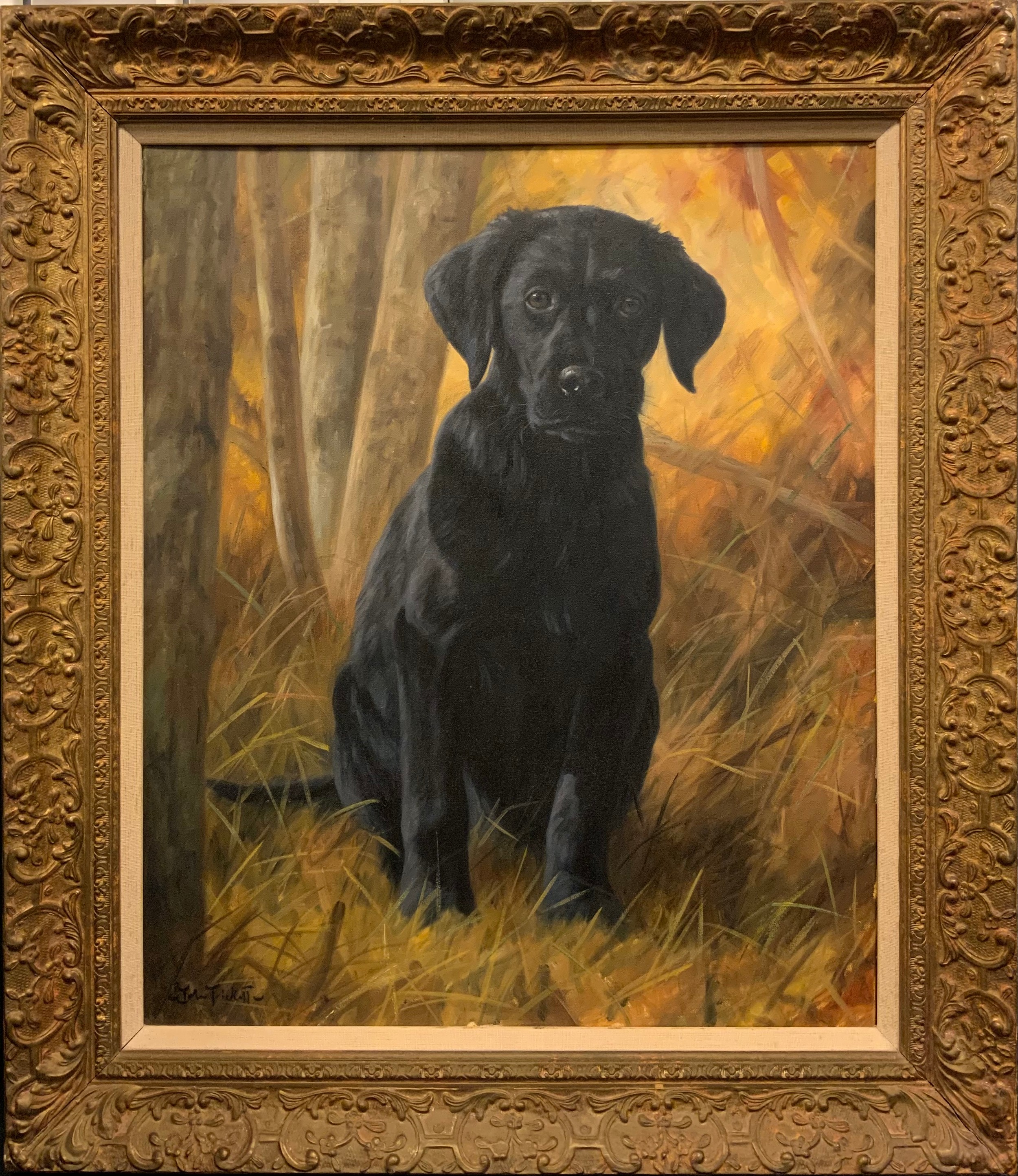 John Trickett, Black Labrador puppy, Autumnal light , signed, oil on canvas, 60.5cm x 50.5cm