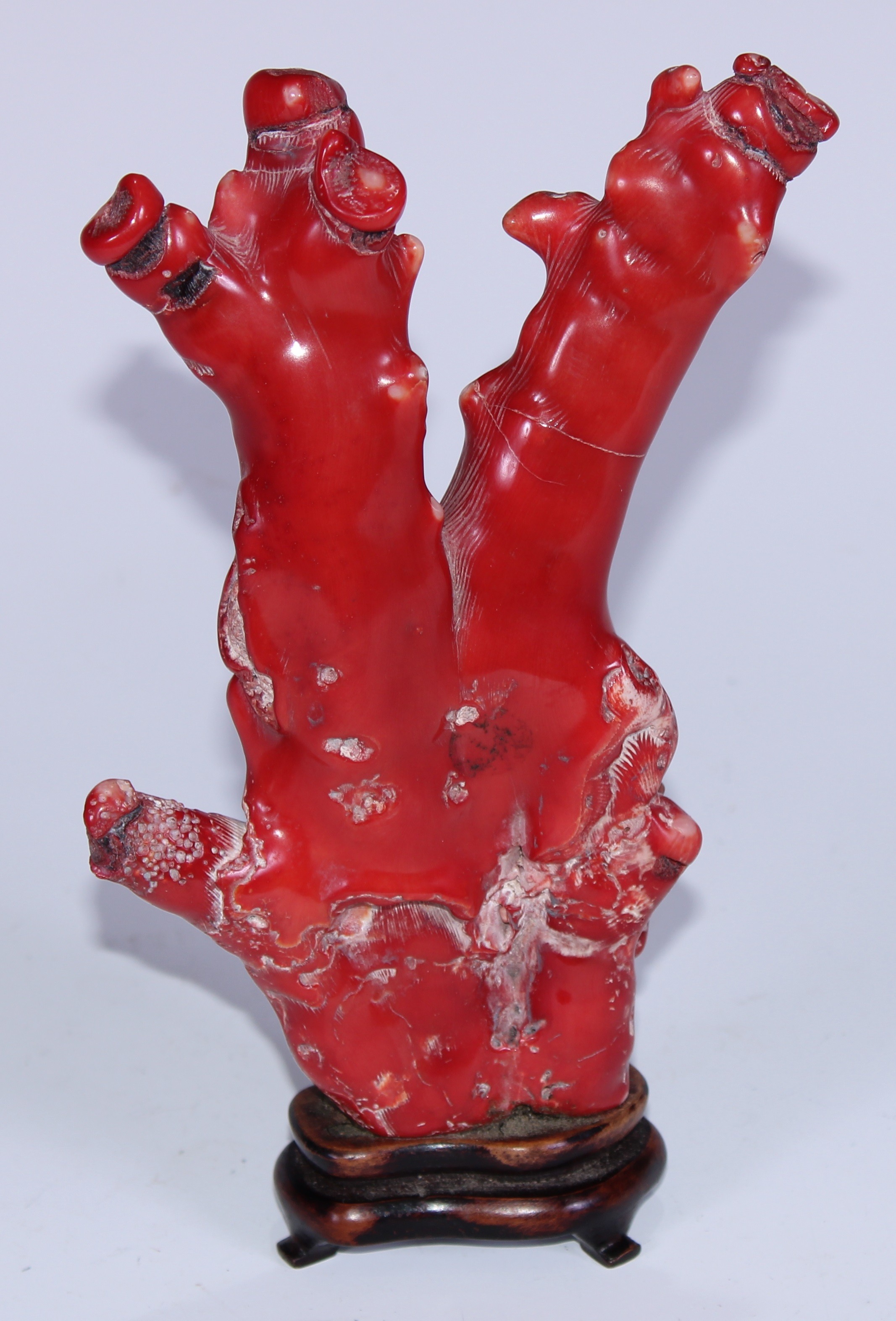 A Chinese red coral specimen, mounted for the scholar's table, 20cm high overall