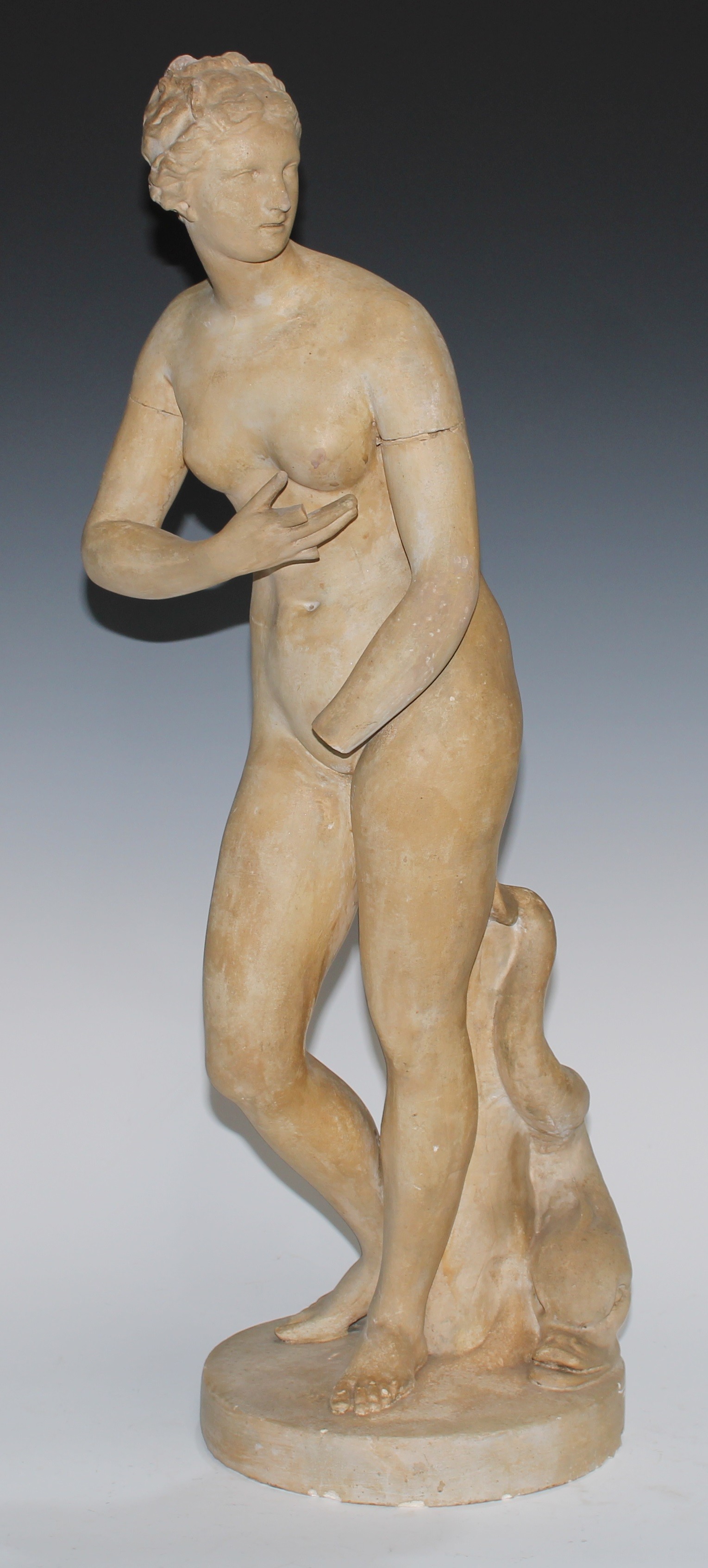 A 19th century Grand Tour plaster library cast, of the Venus de' Medici, 63cm high