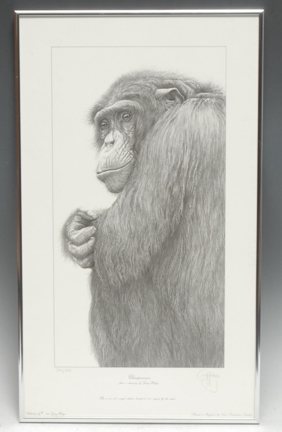 Gary Hodges Wildlife Artist (1954- ), by and after, Chipanezee, monochrome print, signed in pencil, 47cm x 27cm, limited edition 591/850;  others, Jackass Penguins, 18cm x 37cm, 482/857;  Freedom, 23cm x 43cm, 451/850 (3)