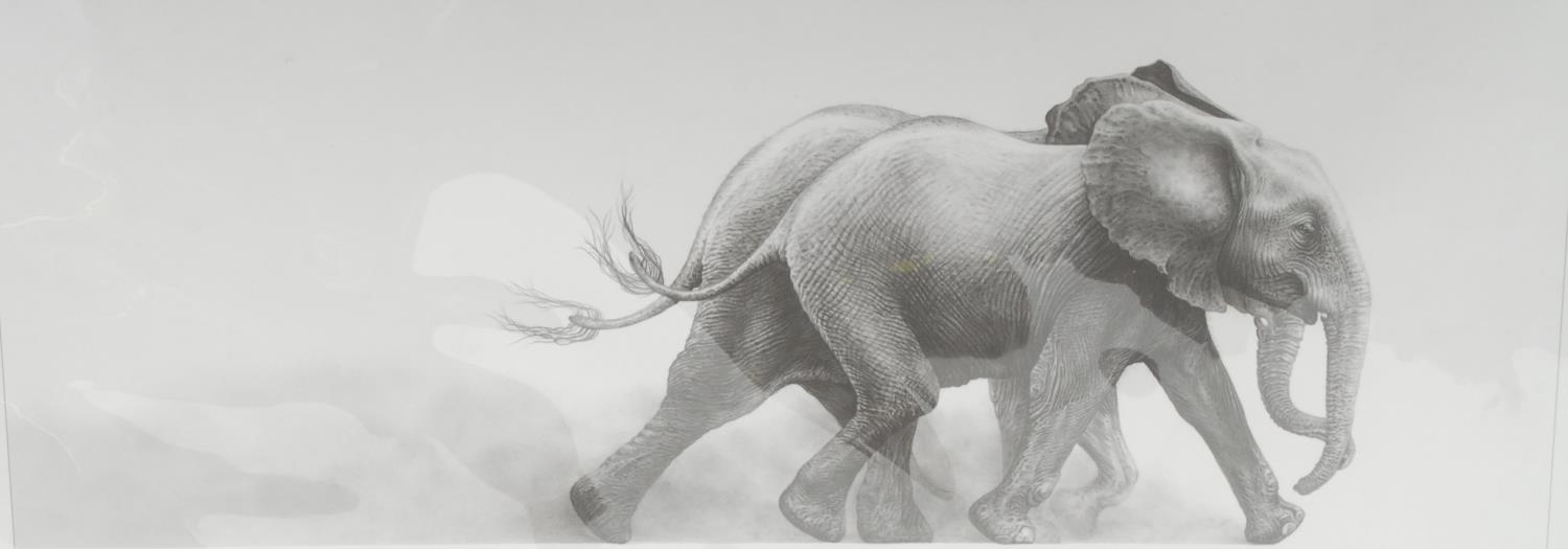 Gary Hodges Wildlife Artist (1954- ), by and after, Joy, monochrome print, signed in pencil, 33cm x 68cm, limited edition 147/1285;  another, Wobbly, 41cm x 30cm,  866/995, both unframed