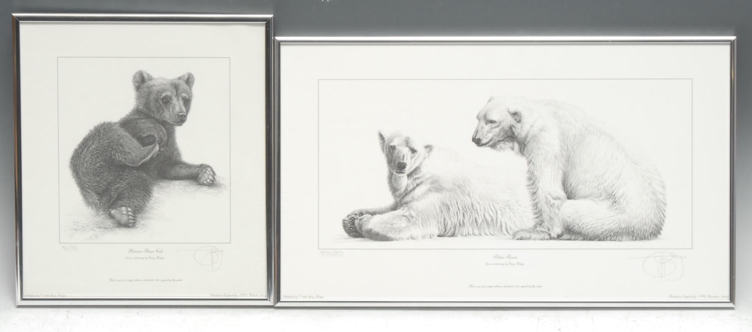 Gary Hodges Wildlife Artist (1954- ), by and after, Polar Bear, monochrome print, signed in pencil, 24cm x 40.5cm, limited edition 539/850;  another, Brown Bear Cub, 26cm x 22.5cm, 461/857 (2)