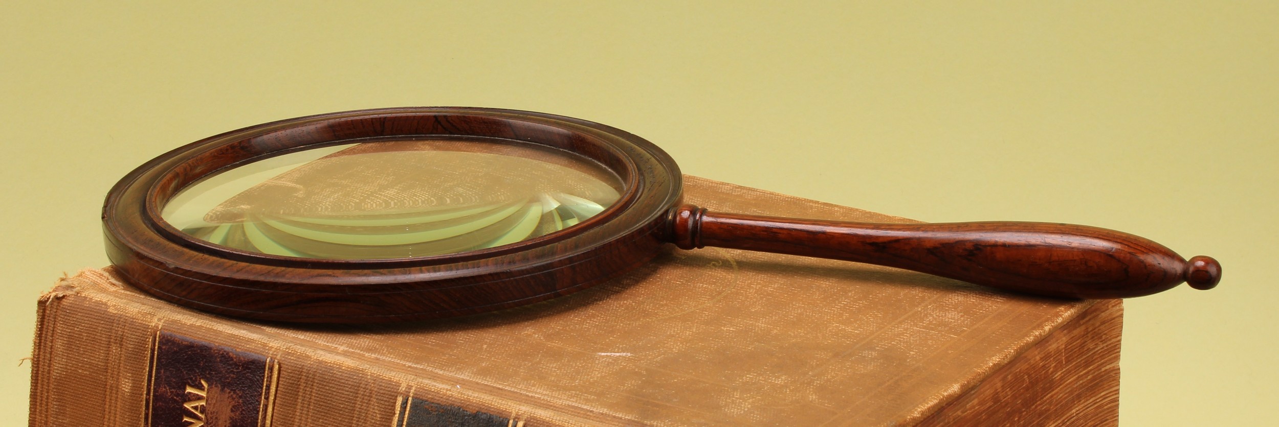 An early Victorian rosewood gallery glass, by Chadburn, Optician &c to HRH Prince Consort, 7 Lord St, Liverpool, stamped, the connoisseur's magnifying lens 17cm diam, turned handle, 41cm long overall, c.1845