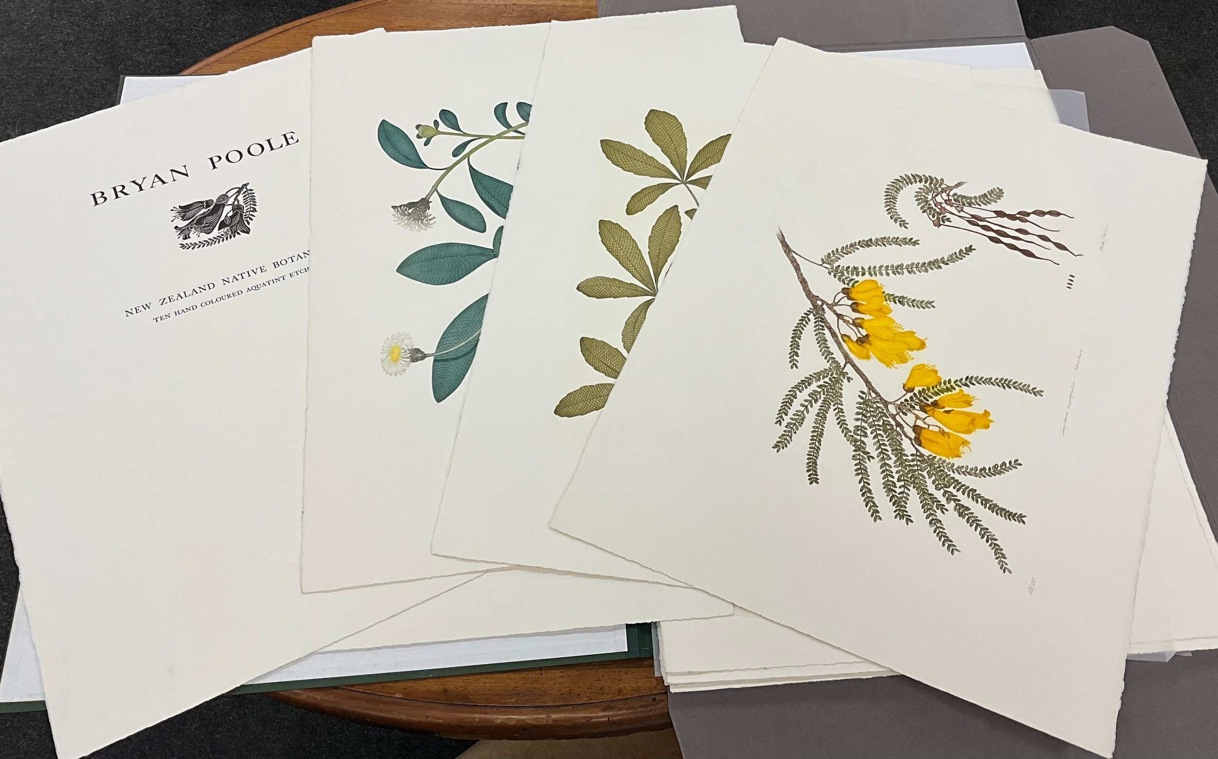 Bryan Poole (1953-2022)  New Zealand Native Botanicals  A folio of ten hand-coloured aquatint etchings, limited edition number 20/50, with original folio folder, London, 1998.