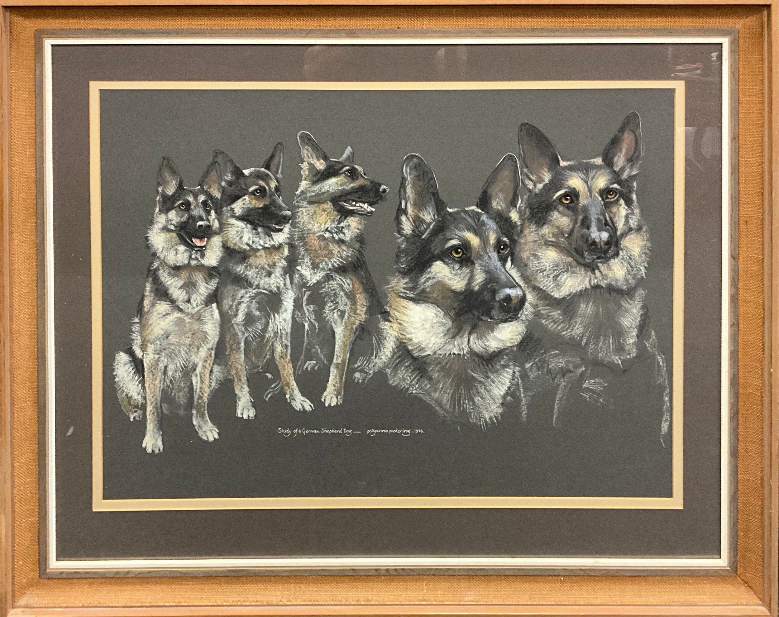Pollyanna Pickering, German Shepherd Study, signed, dated 1976, soft pastel on paper, 62.5cm x 88cm (93cm x 115cm frame size).
