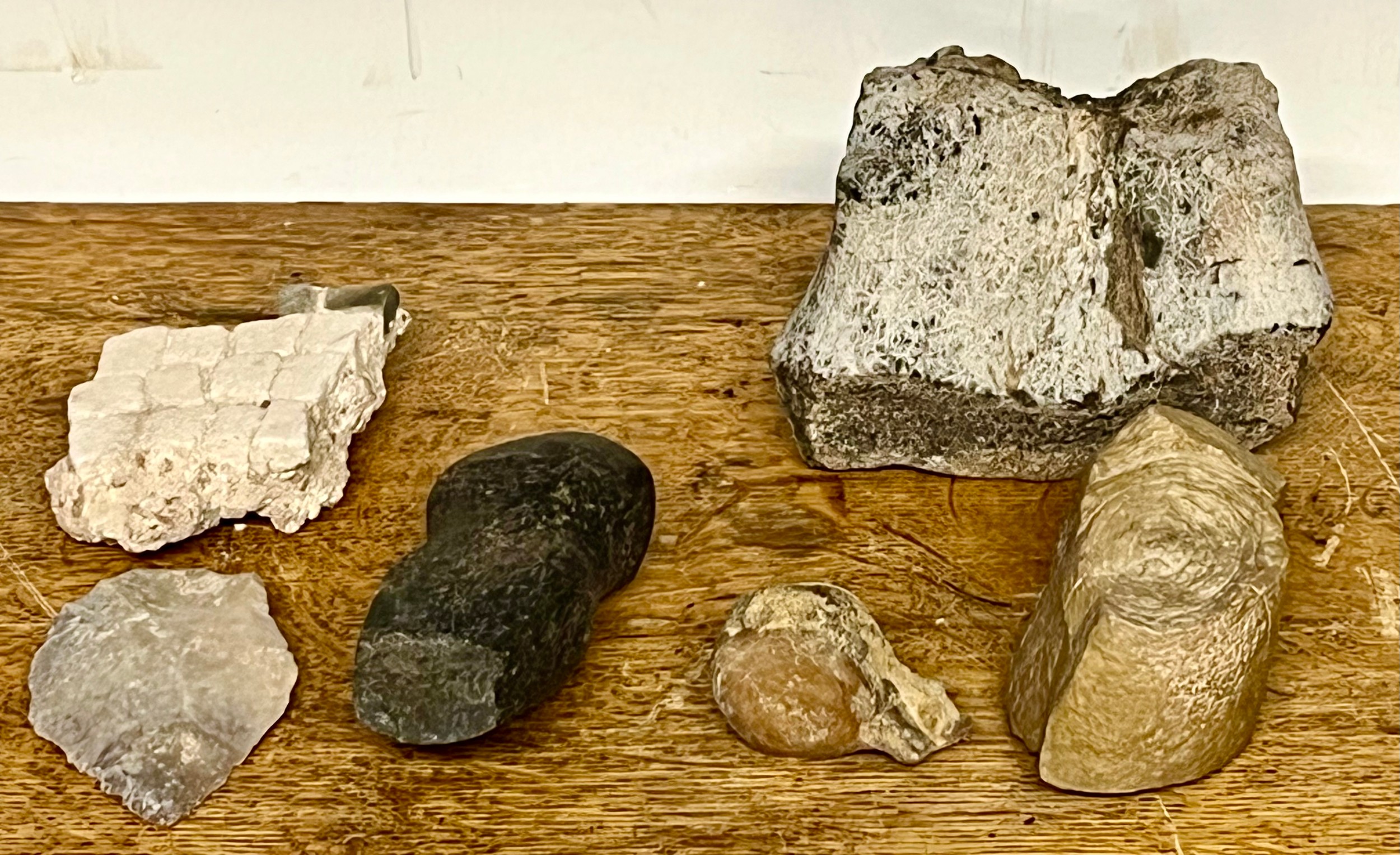 Antiquities and Natural History - a large fossilised bone fragment, 14cm wide; an Native American tomahawk axe head, 12cm long; a Stone Age flint scraper, 8.5cm long; fossil vertebra; etc (6)