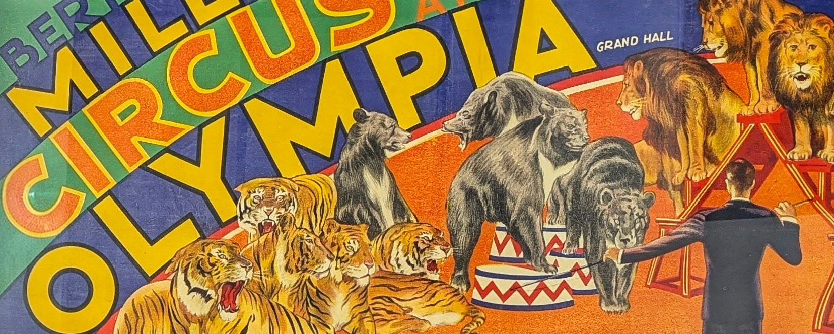 The Wonderful World of Entertainment Image