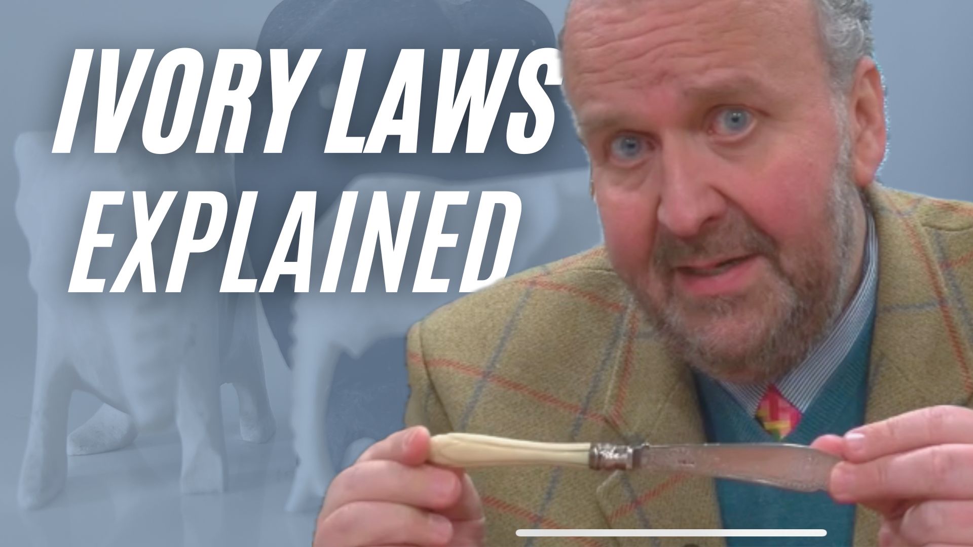 EVERYTHING you need to know about UK law on IVORY Image