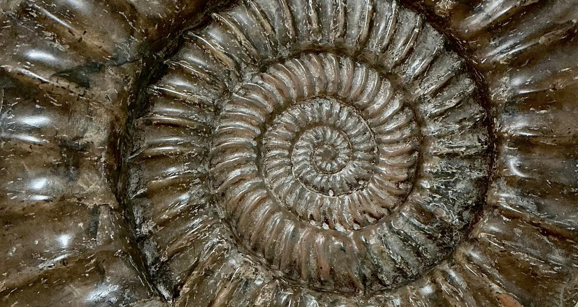 UNEARTHED! Image